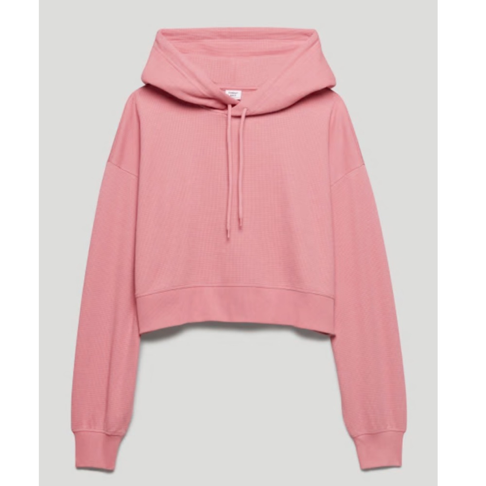 Aritzia Cropped Hoodie